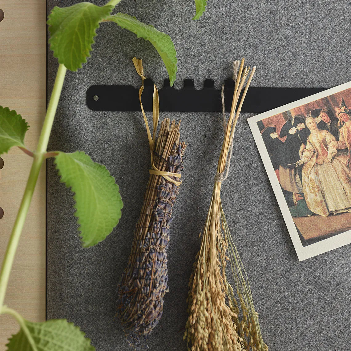 Padded Wall Boards Accessories - Decorative Strip 2 Black closeup on hooks Decormania UK